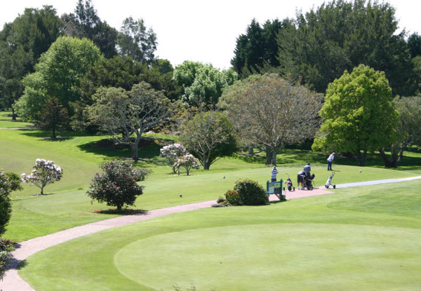 Two Full Golf Club Memberships for Te Puke Golf Club