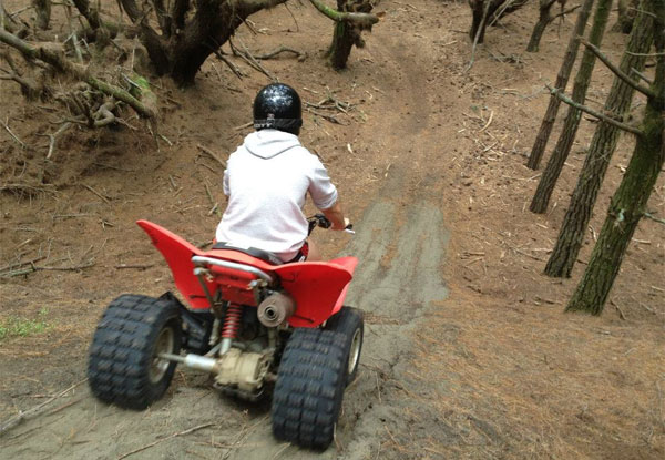 90-Minute 'Trail Blazer Safari' Quad Bike Adventure for One - Options for up to Six People