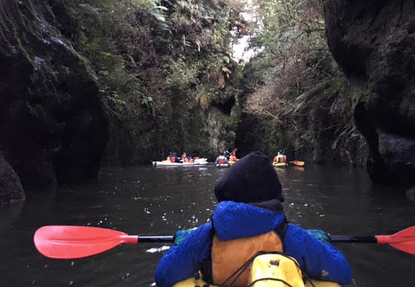 Three-Hour Glow Worm Adventure Kayak Trip - Option for Adult or Child