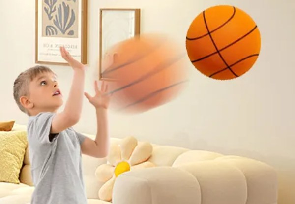 Indoor Training Silent Practice Ball