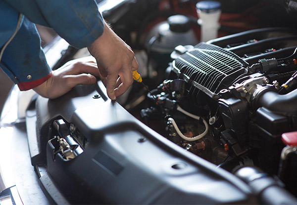 Car Maintenance Service - Choose from WOF, Comprehensive Service incl. Oil & Filter Change or 25-Point Vehicle Safety Inspection