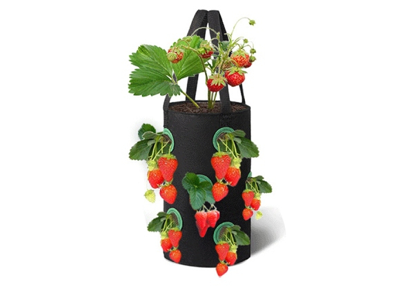 Three-Gallon Strawberry Vegetables Grow Bag - Available in Three Colours & Option for Two-Pack