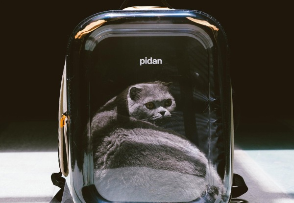 Pidan Travel Window Pet Carrier Backpack - Elsewhere Pricing $149.90