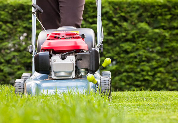 $25 for  One-Hour of Lawn Mowing, Weed Eating & Trimming or $49 for Two Hours