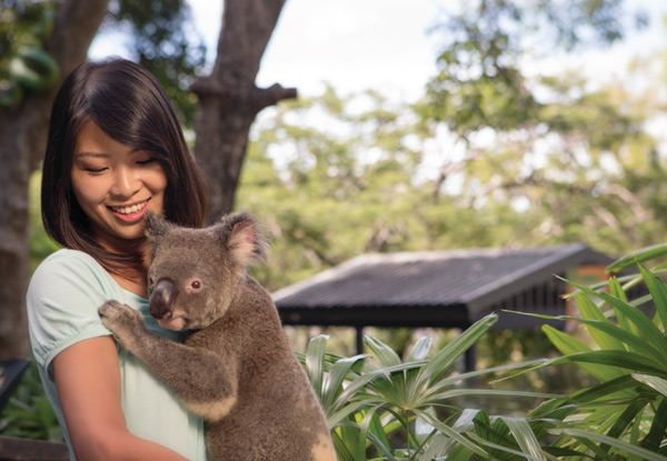 Per Person Twin-Share Fly/Cruise Australia Package Aboard the Pacific Explorer incl. Meals, Entertainment & International Flights