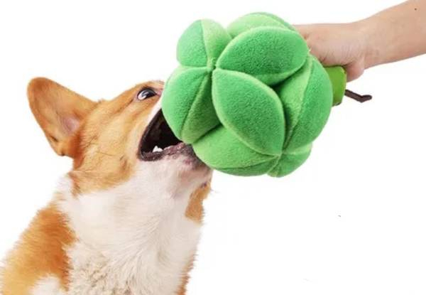 Dog Broccoli Snuffle Ball Toy