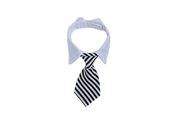 Pet Necktie - Three Colours & Two Sizes Available - Option for Two-Pack