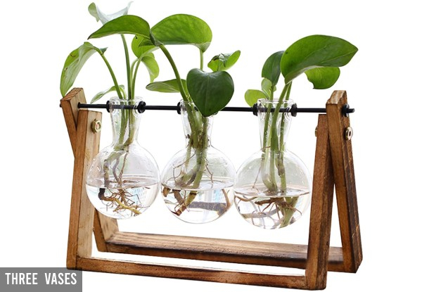 Glass Planter with Wooden Frame - Three Options & Two Colours Available