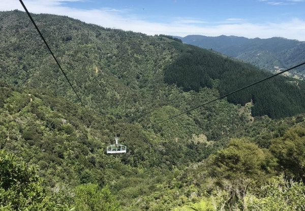 One Adult Ticket to Ride the World's Longest Flying Fox: The Skywire - Option for Children Available