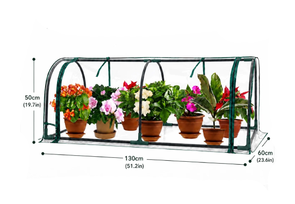 Garden Greenhouse Tunnel