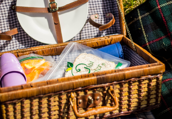 Lunchbox Essentials Pack incl. Pouches, Sandwich Bags & Snack Packs