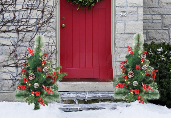 Outdoor Christmas Tree with LED Light