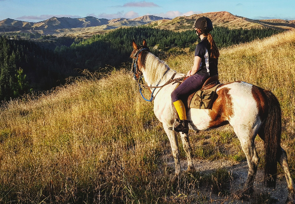 One-Hour Breathtaking Horse Trek Experience for Two People - Option for Two Hours