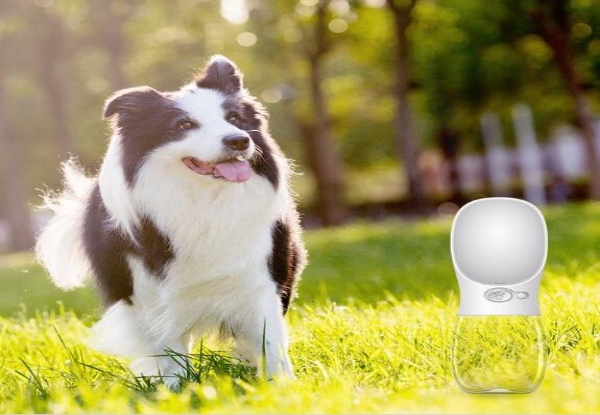Portable Dog Water Bottle - Three Colours & Two Sizes Available