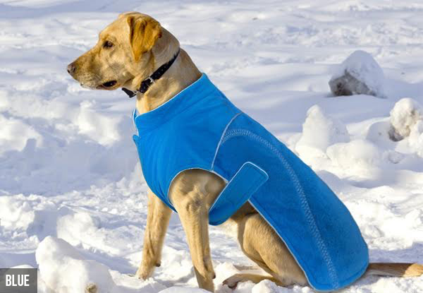 Autumn Dog Jacket - Four Colours & Sizes Available