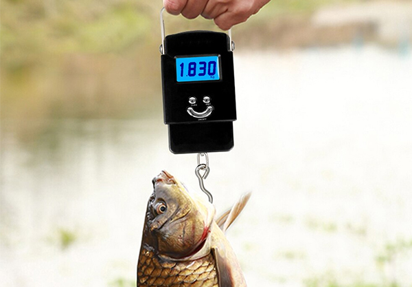 Electronic Hanging Fishing Scale