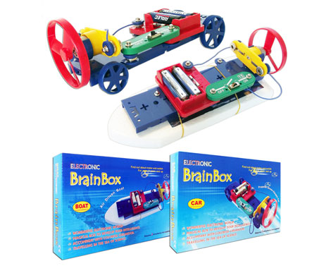 $20 for Two Electronic Brain Box Sets