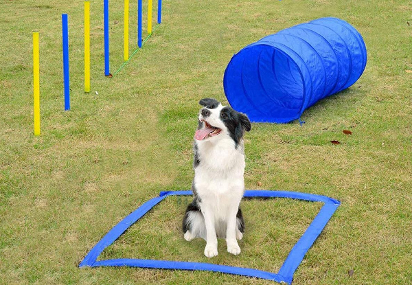 28-Piece Dog Agility Training Set