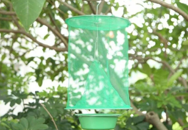 Portable Nontoxic Fly Trap - Option for Two