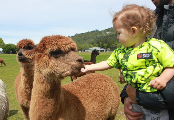 Farm Tour at Rotorua Heritage Farm - Options for Adult, Child or Family Pass