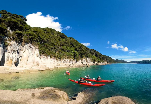 Full Day Abel Tasman Kayak Hire  - Options for Half Day Split Apple Rock Guided Tour