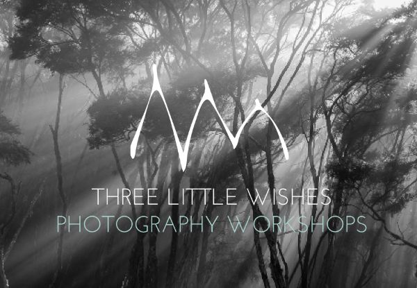 One-Day Beginner or Intermediate Photography Workshop
