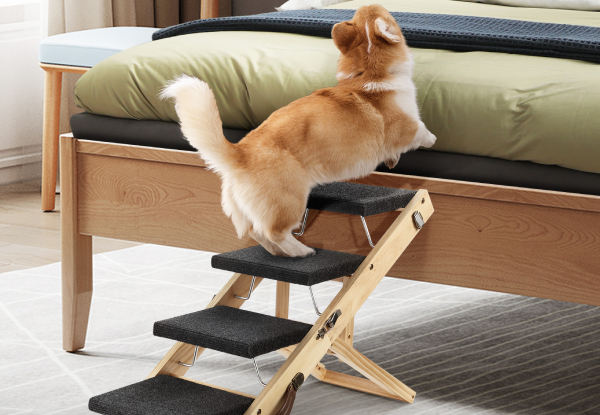 Two-in-One Foldable Four-Step Pet Ramp Staircase