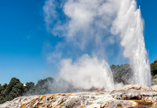 Guided Day Tour to Rotorua for an Adult incl. Entry to Te Puia, Waitomo Glowworm Caves & Grotto Boat Ride - Options for Child or Infant Available