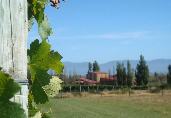 $199 for a Martinborough Wine Tour for Two People incl. Three Tastings, Lunch, Chauffeur Driven Quality Vehicles, Railway & Accommodation Pick-Up & Drop Off (value up to $500)