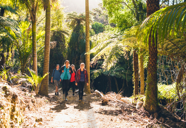 Queen Charlotte Track Day Walk with Cougar Line Cruise Transfers - Walk Ship Cove/Meretoto to Furneaux Lodge - Options for Adult or Child
