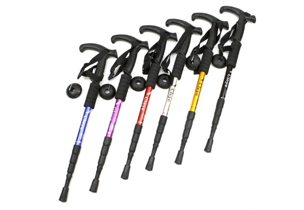 One Adjustable Outdoor Walking Pole with Free Delivery