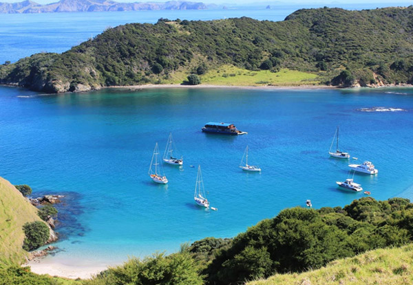 $188 for One Person on an Overnight Cruise in the Bay of Islands incl. Buffet Dinner, Activities, Breakfast & Lunch (value up to $248)