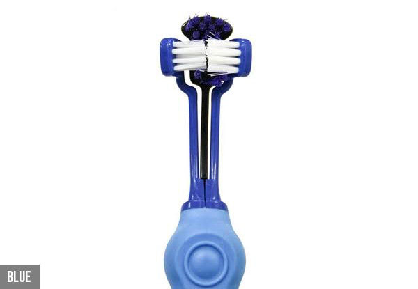 Three Sided Dog Tooth Brush - Four Colours Available