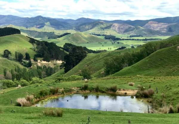Two-Day / Two-Night Fully Catered Whareama Coastal Walk for Two People incl. Accommodation & Meals - Options for Groups up to Eight People