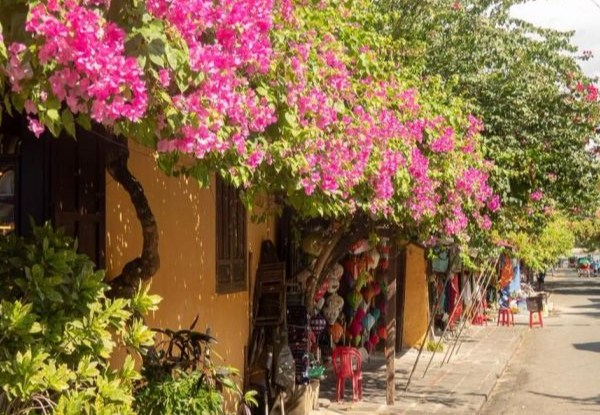 Per Person, Twin-Share 16-Day Vietnam Panorama Tour Incl. Meals, Accommodation, Domestic Flights, Train Journey, 2-Day Halong Bay Cruise, Airport Transfers, Boating, Trekking, Guided Sightseeing & More