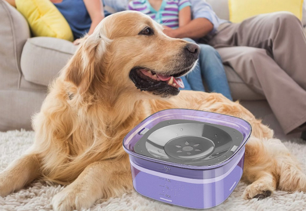 Dog No-Spill 2L Water Bowl - Available in Five Colours & Option for Two