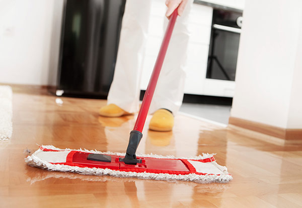 $45 for a Two-Hour House Clean or $65 for Three-Hours