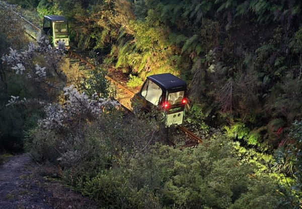 All Aboard for a Once-in-a-Lifetime Rail Adventure for One Adult - Option for Child & Family Pass