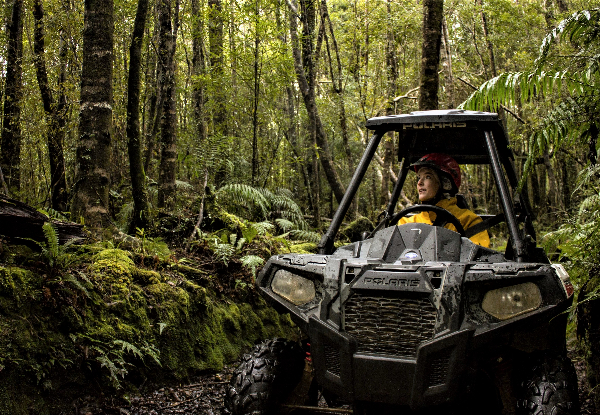 One-Hour Single West Coast Enchanted Rainforest 4WD Buggy Experience for One Person - Single & Double Buggy Options Available for up to Six People