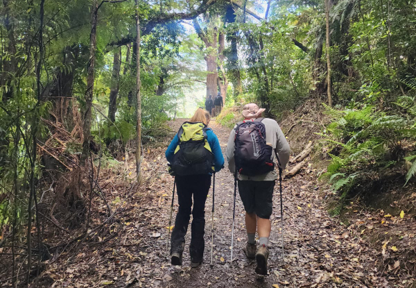 Queen Charlotte Track Day Walk with Cougar Line Cruise Transfers - Walk Resolution Bay to Furneaux Lodge - Options for Adult or Child