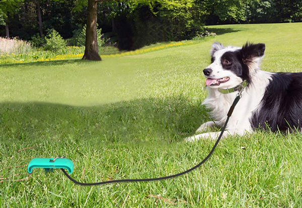 Two-in-One Outdoor Dog Toy with Tie Out Stake Molar Ball