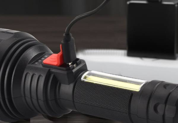 Portable Nine-LED Flashlight