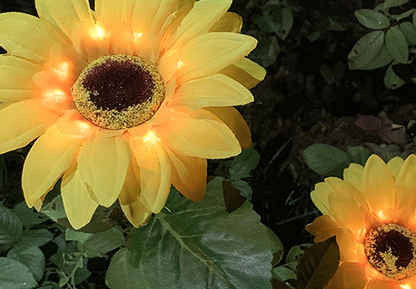 Solar-Powered Sunflower Garden Light - Option for Two-Pack & Three-Pack