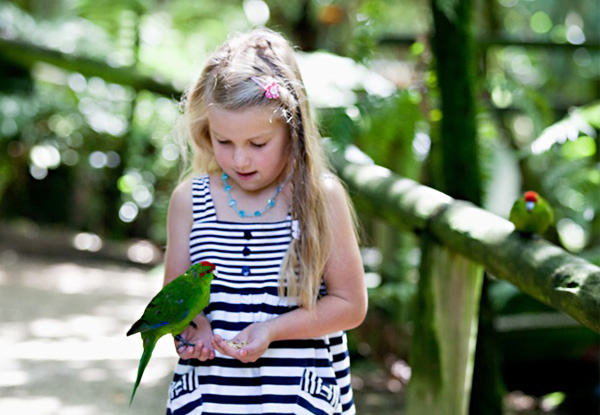 Family Pass to the Otorohanga Kiwi House & Native Bird Park