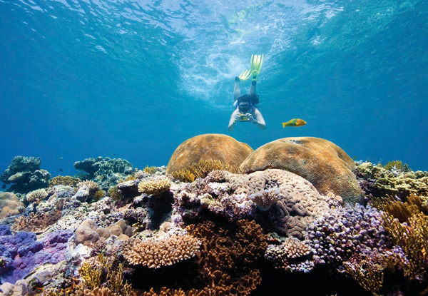 Per-Person Twin-Share, Eight-Night Fly/Stay/Cruise Great Barrier Reef Discovery incl. Return Airfares & One-Night Pre-Cruise Accomodation from Auckland to Brisbane & Onboard Meals & Entertainment