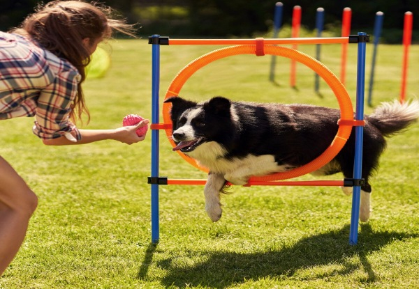 Dog Agility Training Hoop