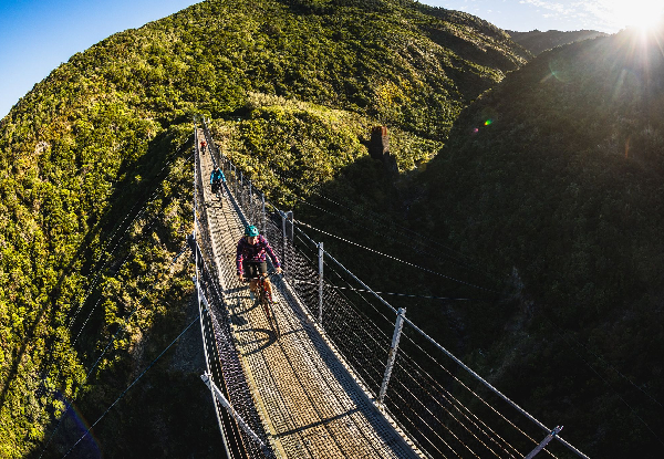 Four-Hour Mountain Bike Hire at Wildfinder Kaitoke