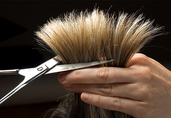 Cut, Blow Dry & Treatment - Options for Head Oil Massage, Half Head of Foils or Keratin Straightening Treatment