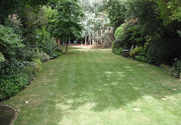Garden Maintenance Package Incl. Four Hours of Labour - Option to Include Rubbish Removal