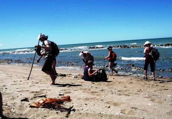Two-Day / Two-Night Fully Catered Whareama Coastal Walk for Two People incl. Accommodation & Meals - Options for Groups up to Eight People